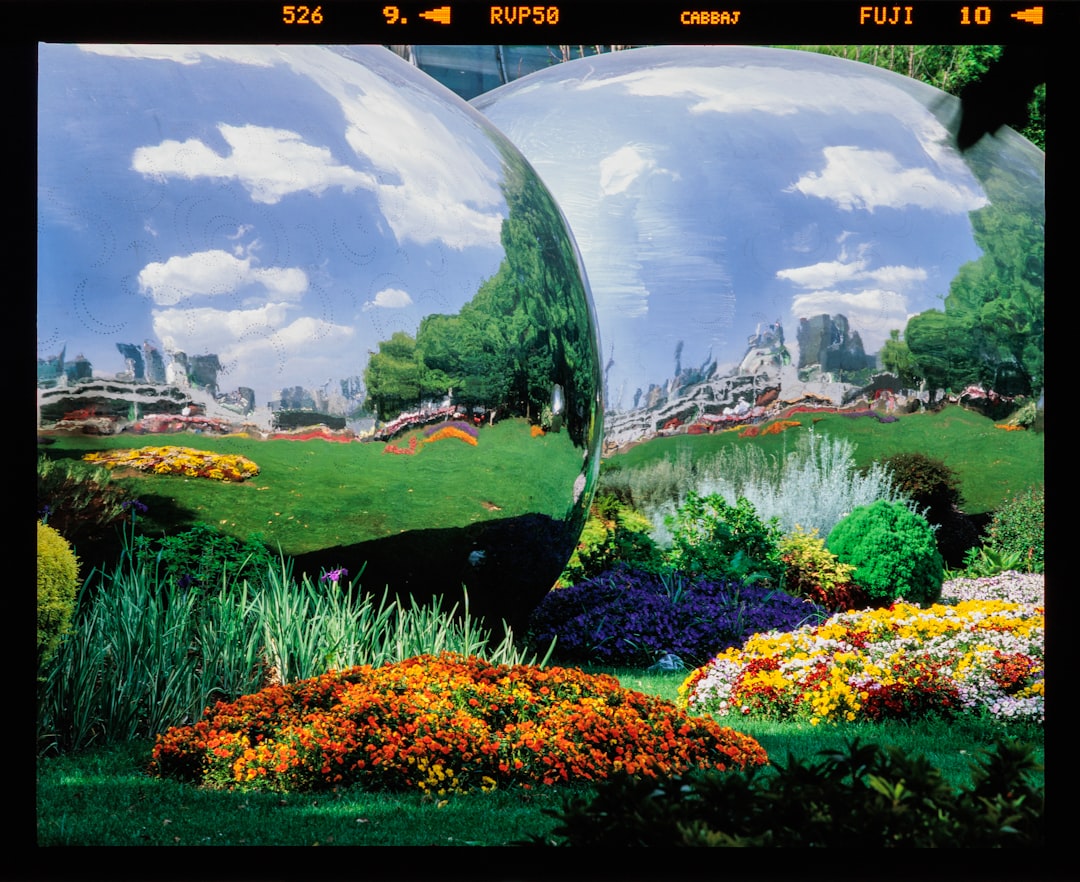 Photo Biomechatronic park illustration