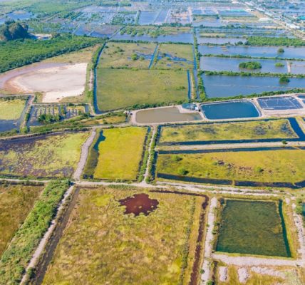 Photo farming orbital land lease