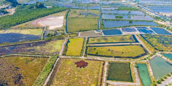 Photo farming orbital land lease