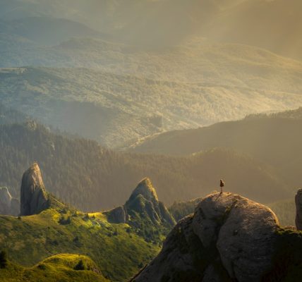 Przestrzenie neurolab innowacyjne: Nowoczesne laboratoria neuronauki 2 Photo neurolab