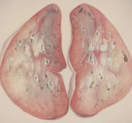 Nieruchomości xenotransplantacyjne badawcze – nowe perspektywy medycyny 1 Photo xenotransplantation research organs